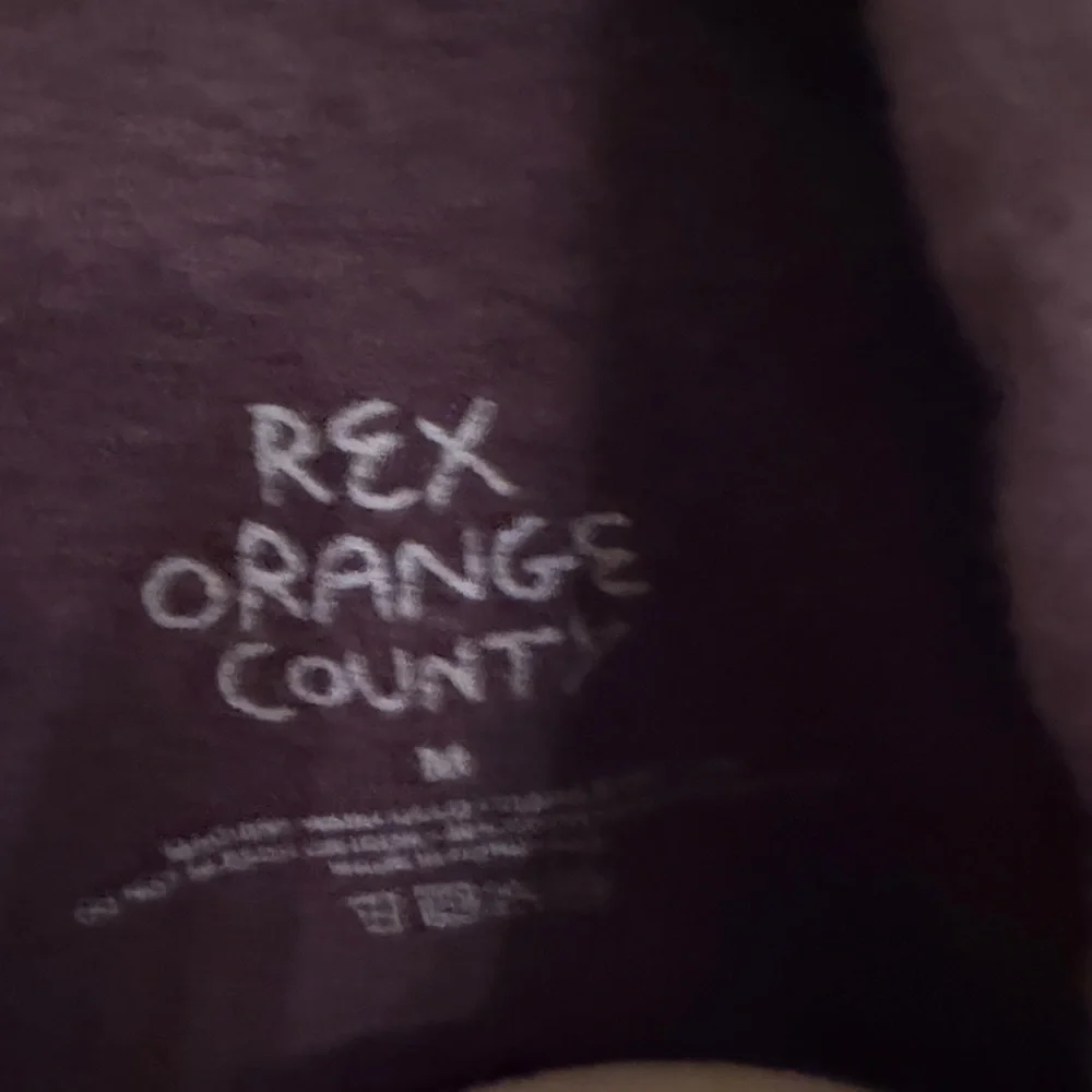 Rex Orange County Dark Brown Hoodie with Graphic Print Who Cares